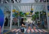 深圳打卡网红景点？深圳打卡网红景点免费？