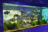 武汉东湖海洋世界攻略，武汉东湖海洋世界好不好玩？