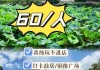 韶山一日游需要多少钱，韶山一日游需要多少钱费用