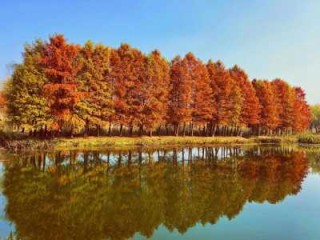 拉萨市区旅游景点，拉萨市内旅游景点？