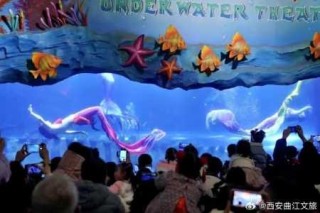 曲江海洋极地公园，曲江海洋极地公园门票