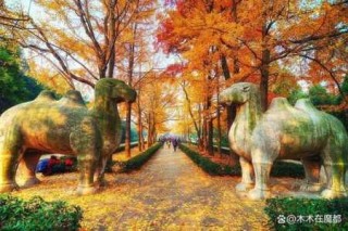 元旦最适合旅游的城市，元旦最适合旅游的城市是哪里？