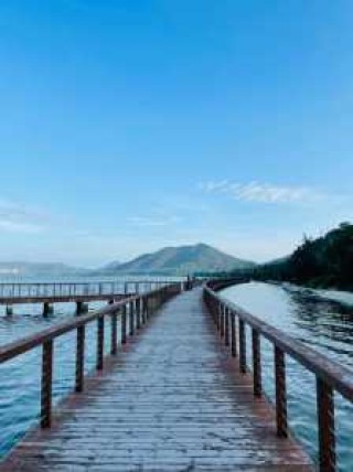 海南猴岛旅游景点介绍，海南猴岛旅游景点介绍词