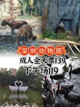 深圳野生动物园怎么样，深圳野生动物园怎么样好玩吗
