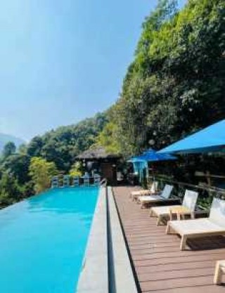 莽山森林温泉度假酒店，莽山森林温泉度假酒店介绍