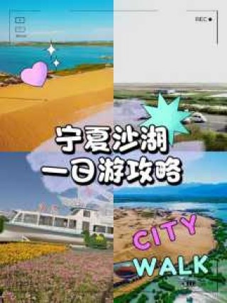 银川沙湖一日游攻略？宁夏银川沙湖一日游？