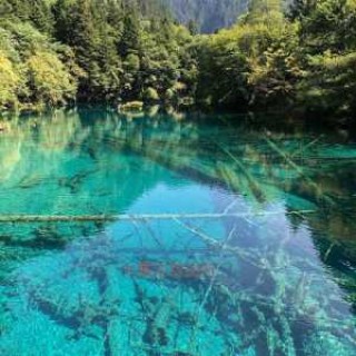 6月份去九寨沟合适吗，6月份去九寨沟合适吗现在？