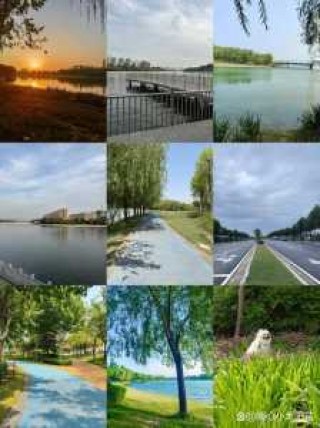 郑州海洋馆图片，郑州海洋馆分布图？