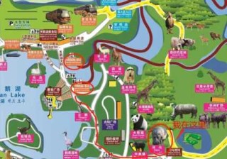 关于上海野生动物园门票多少钱的信息