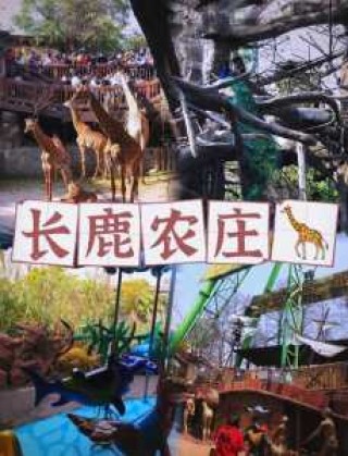顺德长鹿农庄攻略，顺徳长鹿农庄攻略？