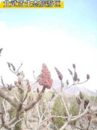 石嘴山旅游攻略，石嘴山旅游景点有哪些好玩