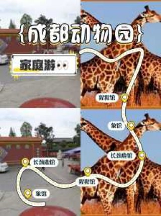 成都动物园好玩吗，成都动物园好玩吗动物多不？
