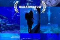武汉海昌极地海洋世界游玩攻略？武汉有什么好玩的地方景点推荐？