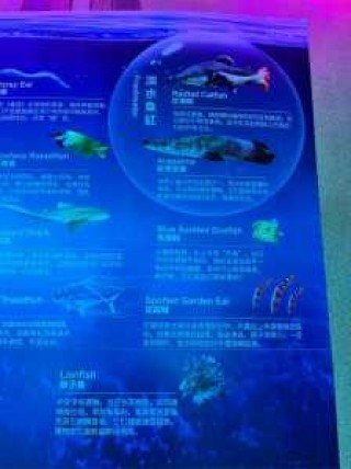珠海海洋公园门票费用？珠海海洋公园门票费用海洋公园费用多少？