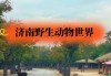 济南野生动物园官方网站，济南野生动物园官方网站网址