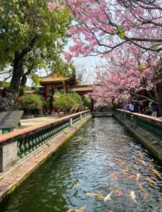 宝墨园有什么好玩的地方，宝墨园有什么景点？