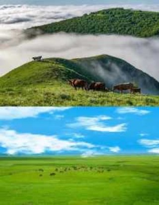 丰宁坝上草原旅游景点，丰宁坝上草原旅游景点大全？