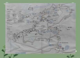 栖霞山风景区门票，栖霞山风景区门票优惠对象？