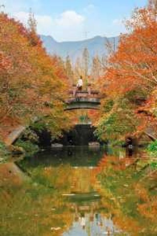 佛山周边自驾游推荐，佛山周边自驾游去哪里好玩？