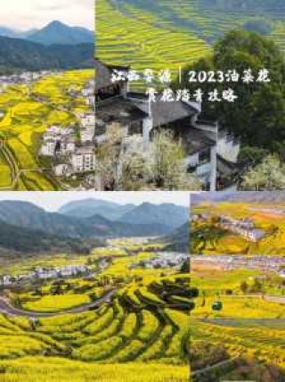江西婺源油菜花，江西婺源油菜花图片？