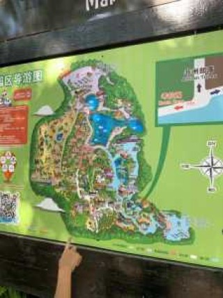 广州长隆一日游玩攻略？广州长隆自由行攻略？