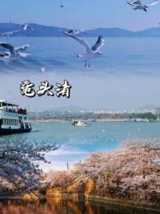 春节旅游过年哪个城市好？春节旅游过年哪个城市好一点？