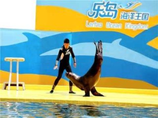 秦皇岛海底世界门票，秦皇岛海底世界门票多少一张？