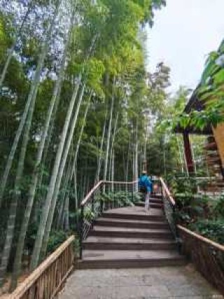 河南旅游景点排名前十名免费，河南 旅游 景点