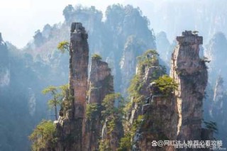 张家界大峡谷攻略路线，张家界大峡谷 攻略？