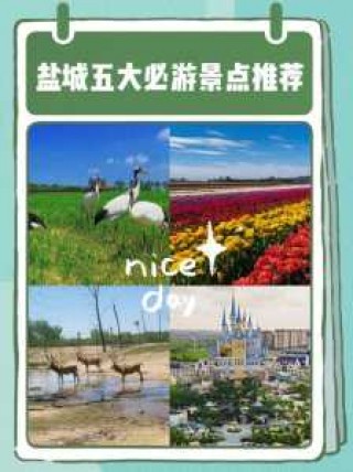盐城旅游景点大全，江苏盐城旅游景点大全？