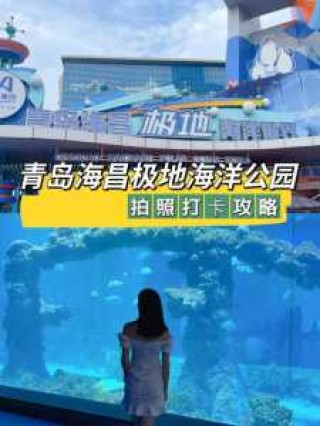 青岛海昌极地海洋公园门票，预订青岛海昌极地海洋公园门票？