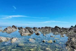养马岛旅游攻略一日游，养马岛旅游景点介绍？