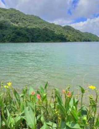 从化旅游攻略景点必去，从化旅游攻略景点必去3月份有哪些