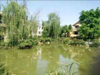 成都双流耍学生便宜，双流那有耍的