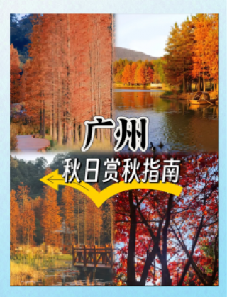 从化石门森林公园一日游攻略？从化石门森林公园一日游攻略跟团？