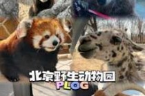 北京野生动物园门票多少一张，北京野生动物园门票标准？