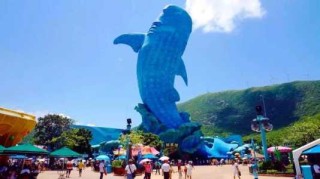 珠海长隆水上乐园图片？珠海长隆水上乐园门票费用多少？