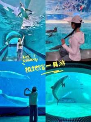 哈尔滨北极熊酒店预定？哈尔滨极地馆北极熊酒店费用？