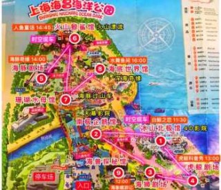 上海海昌海洋世界攻略，上海海昌海洋馆旅游攻略
