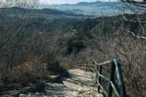 香山公园开放时间，香山公园开放时间和门票费？