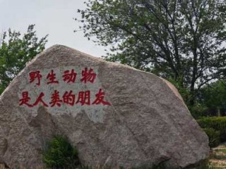 八达岭野生动物园游玩攻略，八达岭野生动物园门票多少？
