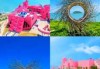 漳州火山岛有什么好玩，漳州火山岛值得去吗？