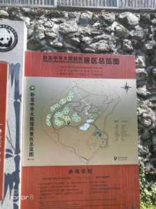 四川卧龙旅游攻略？四川卧龙山风景区？