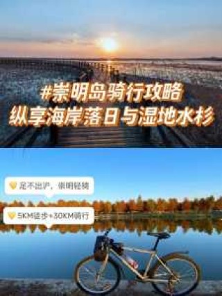 崇明岛旅游一日游攻略，崇明岛旅游一日游攻略大全