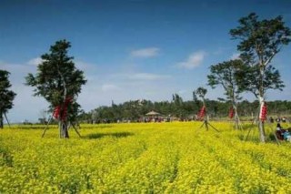 厦门香山公园游玩攻略，厦门香山公园游玩攻略图