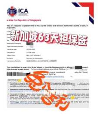 新加坡签证好办吗，新加坡对中国免签吗？