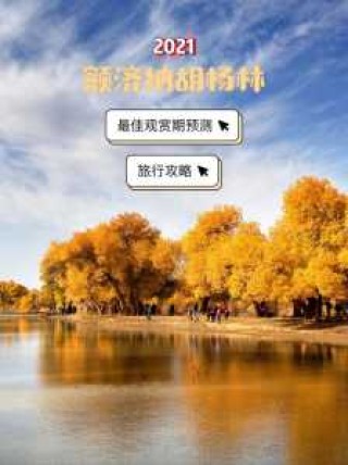 额济纳旗胡杨林最佳时间？额济纳旗胡杨林景点分布？