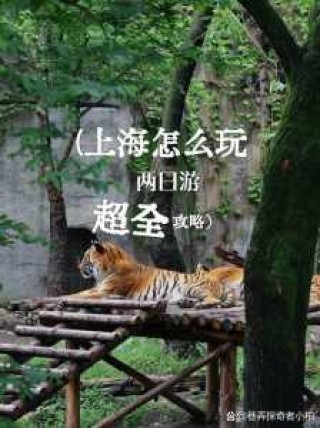 上海周边旅游二日游，上海周边旅游二日游最佳地方？