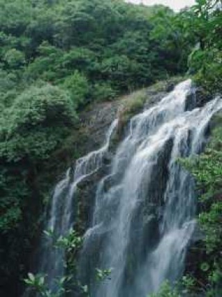 福州旅游必去景点介绍，福州旅游必去前十景点 排名？