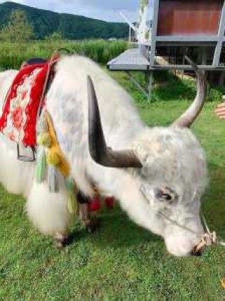 云南腾冲旅游攻略必去景点，云南腾冲旅游景点攻略自由行？